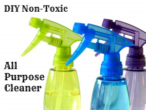 DIY Non-Toxic All Purpose Cleaner