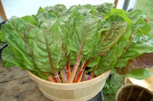 The Best Leafy Greens to Eat-Swiss Chard