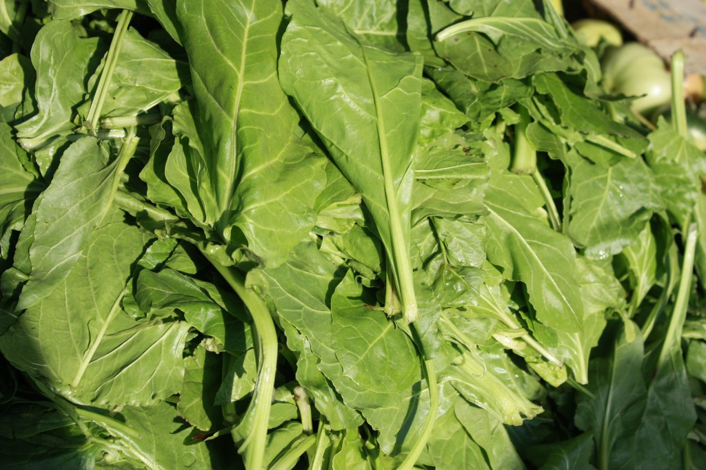 The Best Leafy Greens to Eat for Health and Healing