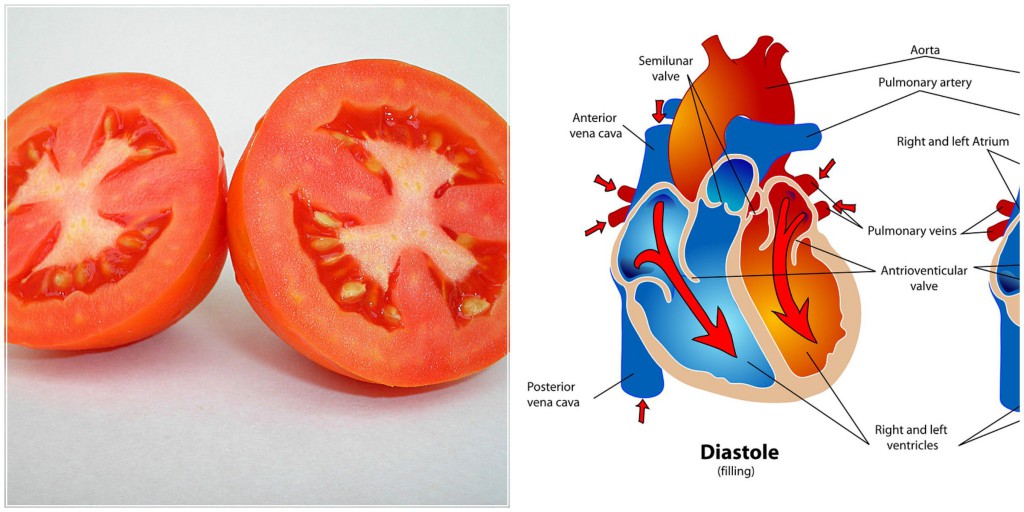 Heart Tomato