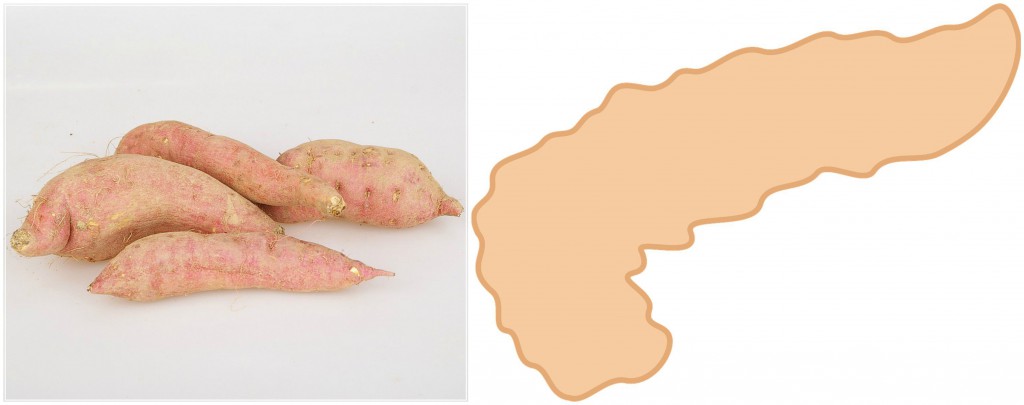 Pancreas Sweet Potato