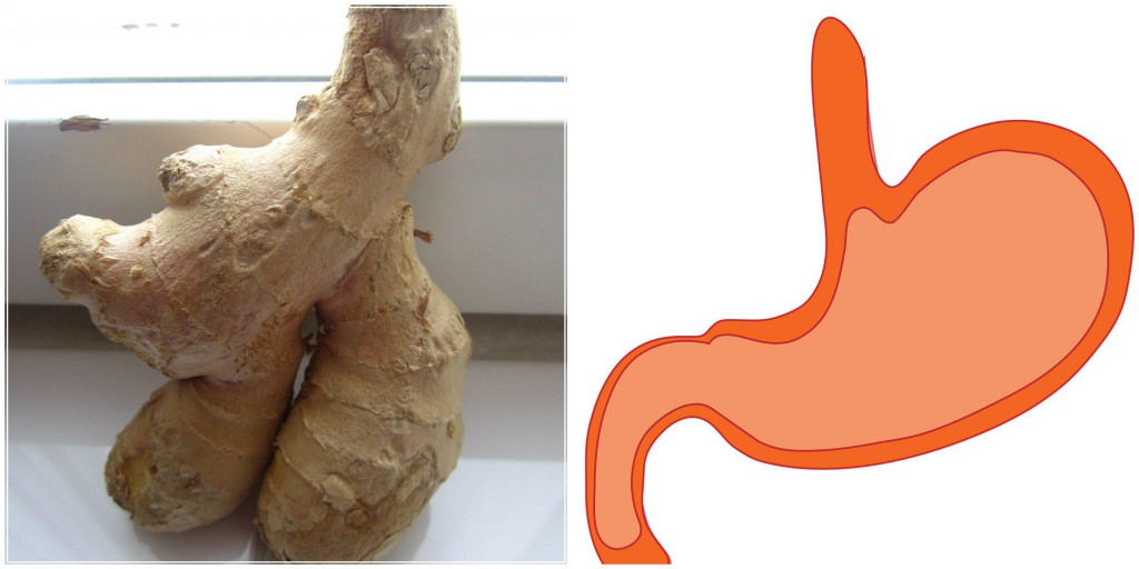 Stomach Ginger