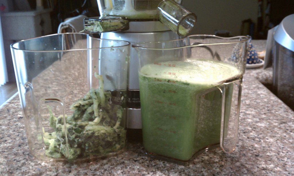 The Omega Low Speed Masticating Juicer VRT330S Best Juicer on a