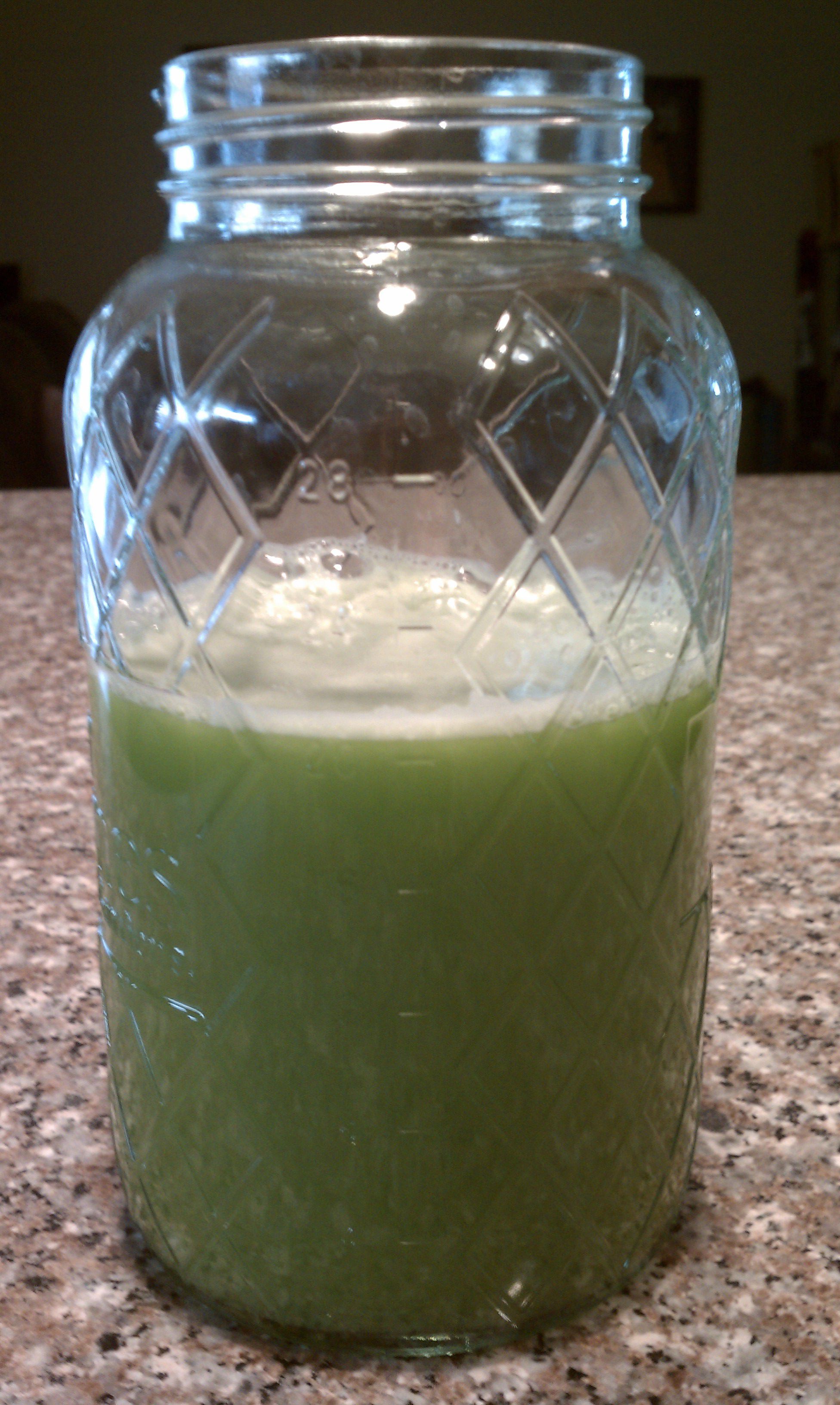 The Omega Low Speed Masticating Juicer VRT330S Best Juicer on a