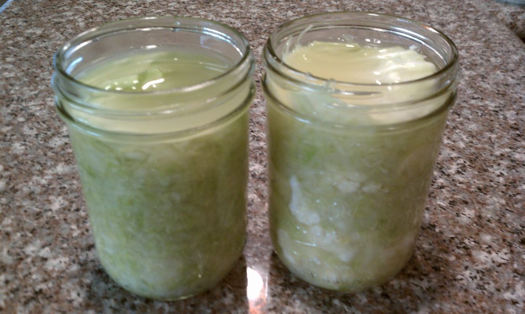 Fermented Sauerkraut Recipe-Packed