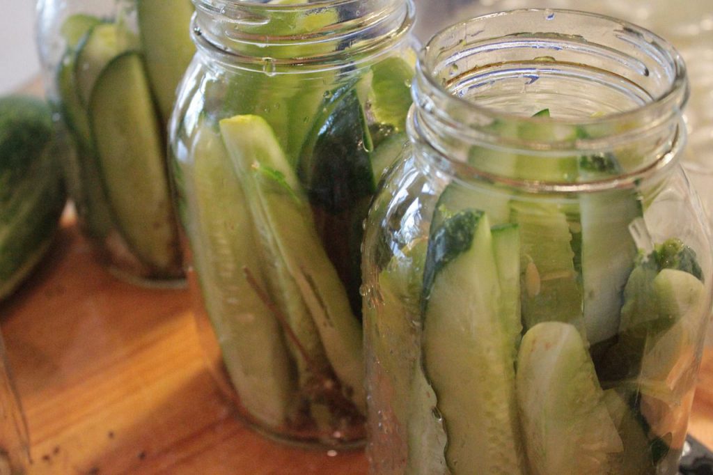 Benefits of Fermented Foods-Pickles