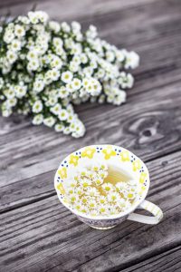 How to get Rid of Stomach Bloat-Chamomile Tea