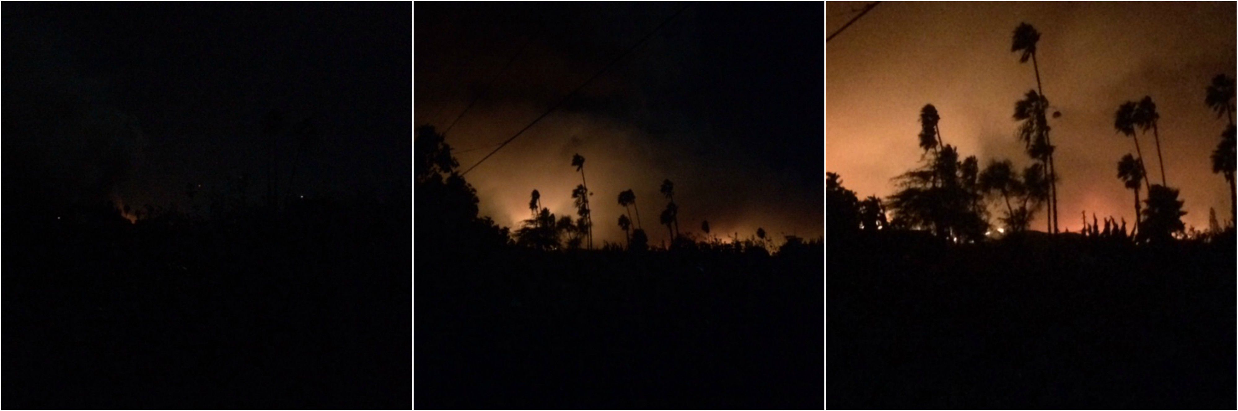 Lessons in Letting go-Thomas Fire Backyard